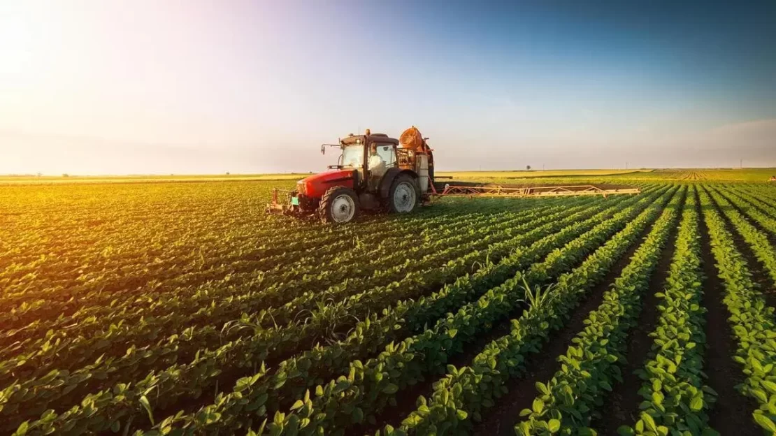 agro e pib da agropecuária