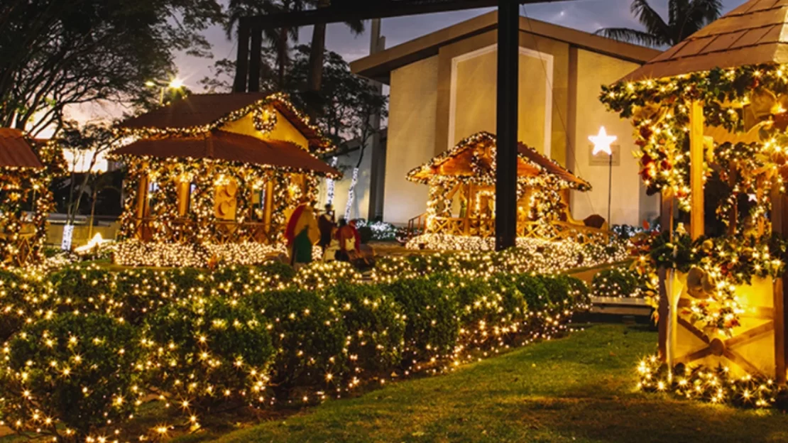 dicas