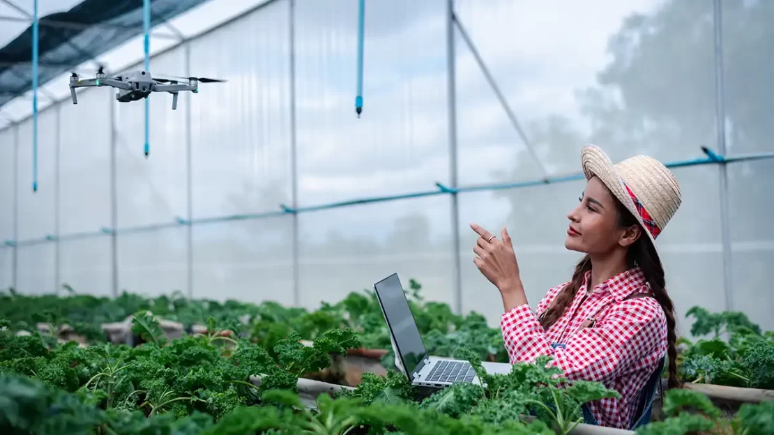 conectividade no agro