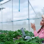 conectividade no agro