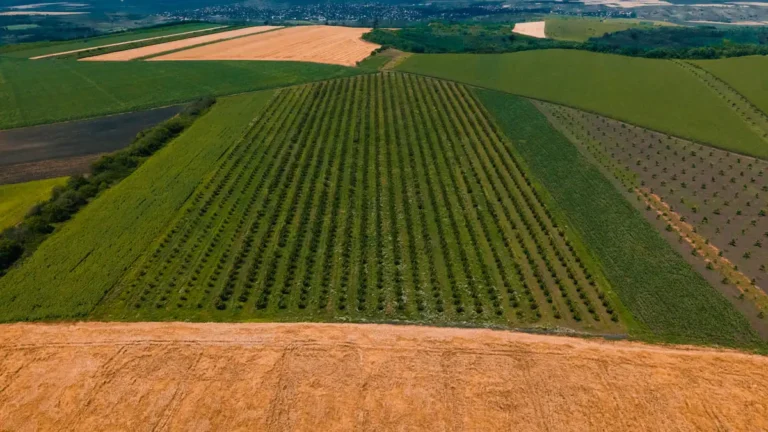 Agronegócio