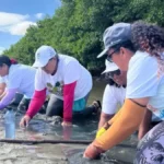 Marisqueiras
