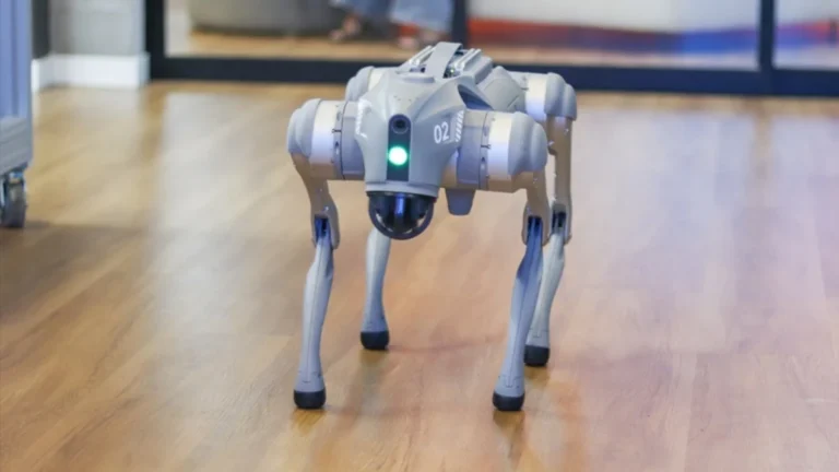 Instituto Atlântico inteligência artificial IA
