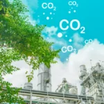 precificação de carbono