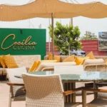 cecilia cucina