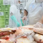 pescados