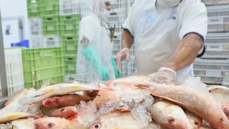 pescados