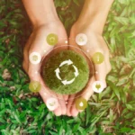 Plano de Transformação Ecológica