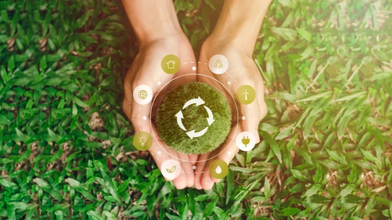 Plano de Transformação Ecológica