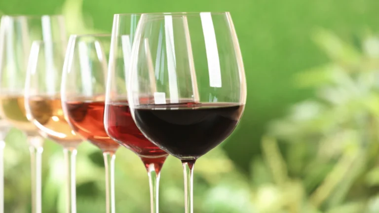 vinho orgânico