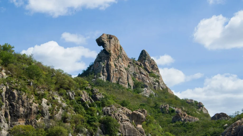 Quixadá e caatinga