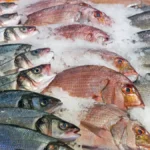 pescado