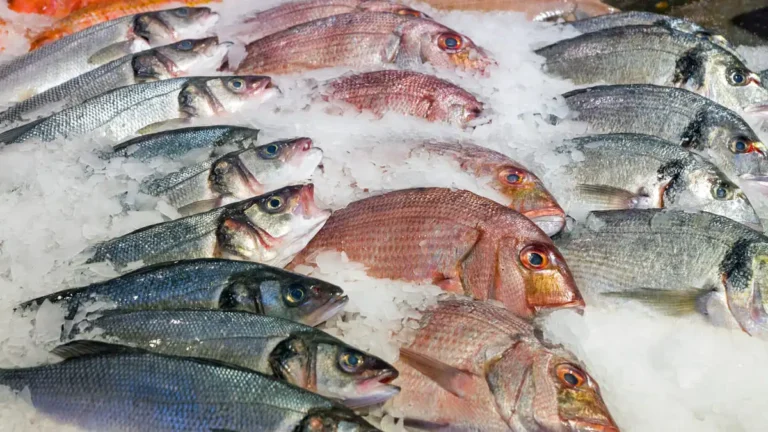 pescado