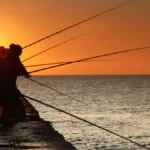 Champion de Surfcasting