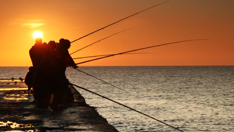 Champion de Surfcasting