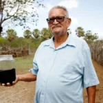 anp petróleo ceará