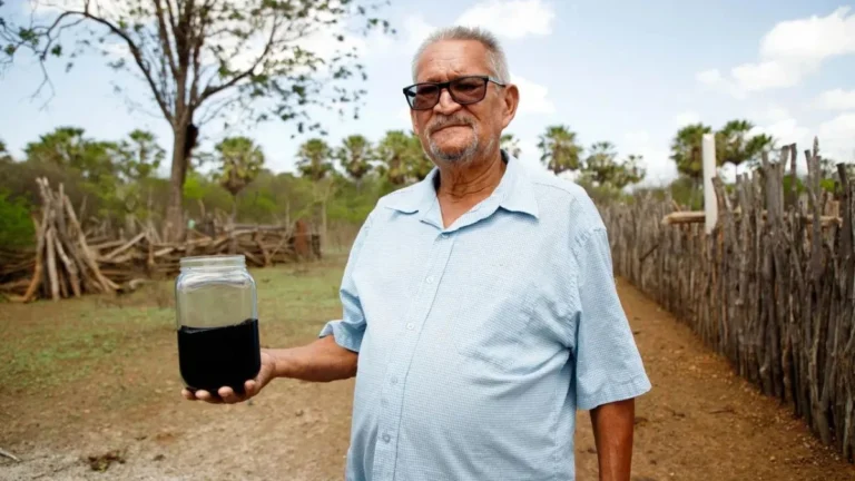 anp petróleo ceará