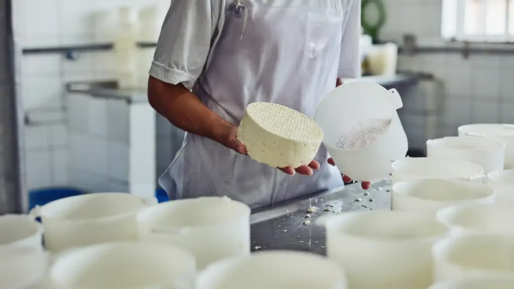 produção de queijos