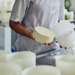 produção de queijos