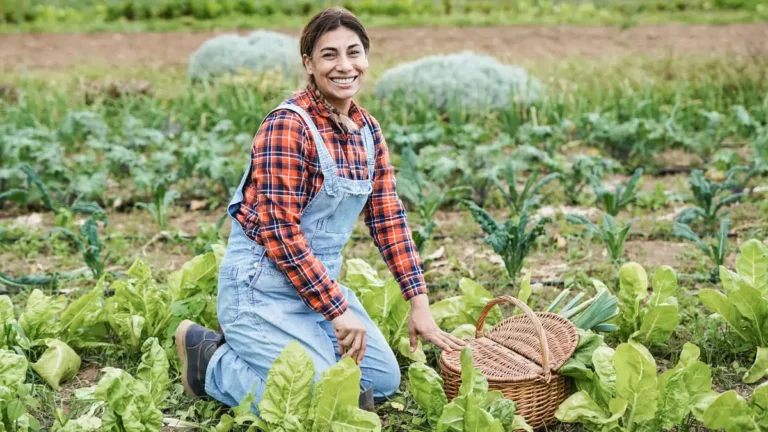 agroamigo